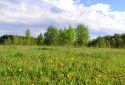 Land offered for retreat